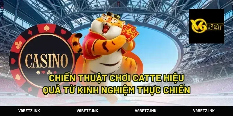 Chiến Thuật Chơi Catte Hiệu Quả Từ Kinh Nghiệm Thực Chiến