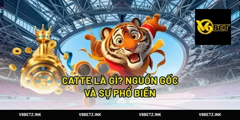 Catte Là Gì? Nguồn Gốc Và Sự Phổ Biến